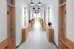 新華藝術(shù)高級(jí)中學(xué)校園環(huán)境