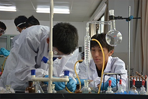 新哲文院校園環(huán)境