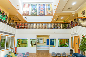 廣州天河愛莎外籍人員子女學校校園環境