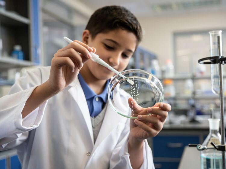 茂名國際學校有哪些