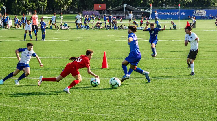 合肥私立學(xué)校課程設(shè)置