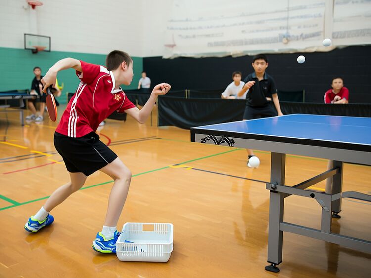北京康福國際學校校園