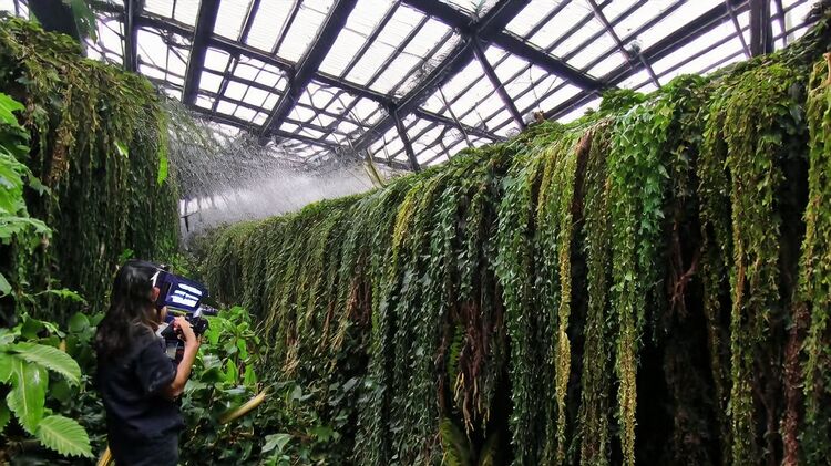 安大略國際學院