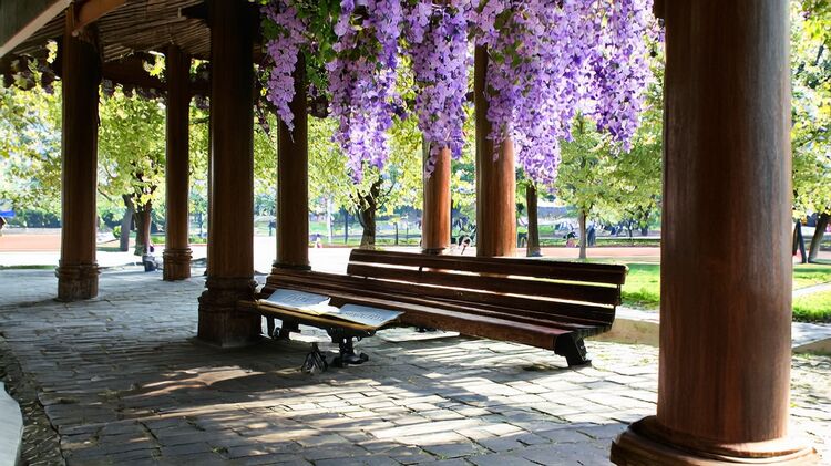 國際學校哪里好