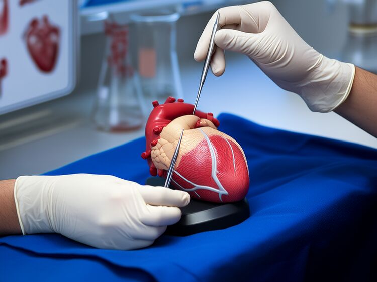 上國際學校初中