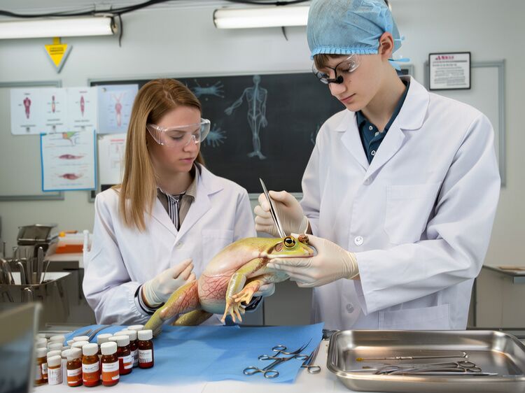 南通私立初中排名一覽表