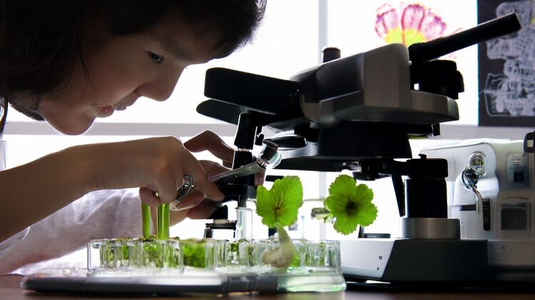 愛莎國際學校網站