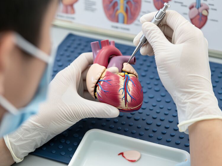 北京朝陽區國際高中哪家強？公立民辦外籍學校全解析