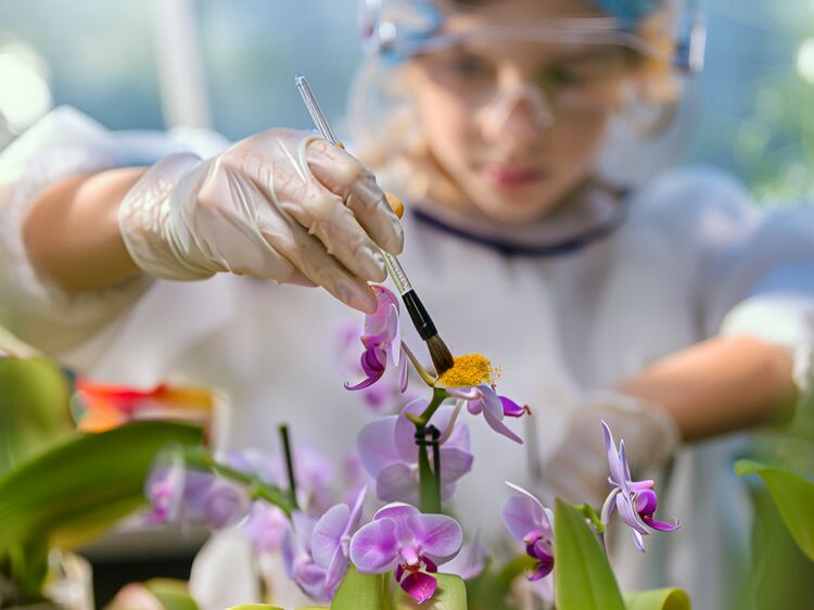 廣東美倫國際學校